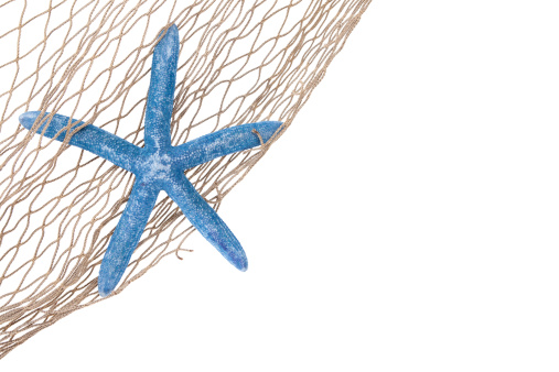 A blue starfish in a net isolated on white