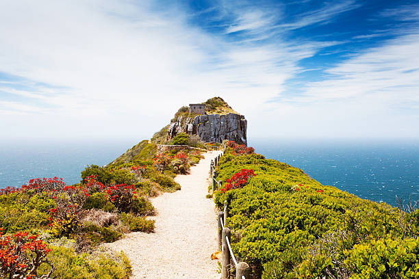 cape point, south africa cape point, cape town, south africa nature reserve stock pictures, royalty-free photos & images