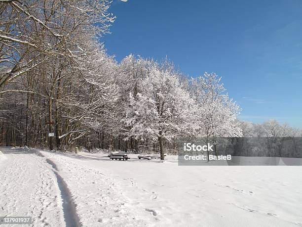 Nevadascomment Árvore Num Dia Soalheiro - Fotografias de stock e mais imagens de Inverno - Inverno, Montanhas suábias, Alemanha