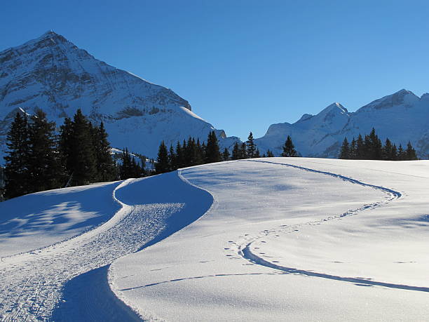 faixas na neve - bernese oberland gstaad winter snow imagens e fotografias de stock