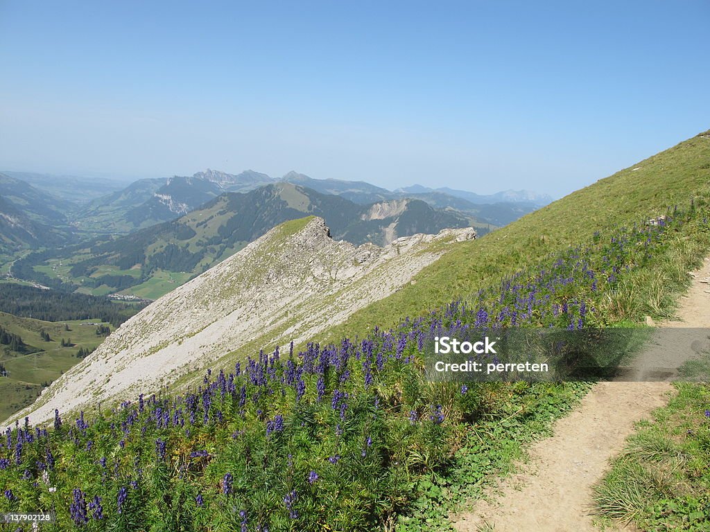 Nizza summerday - Foto stock royalty-free di Alpi