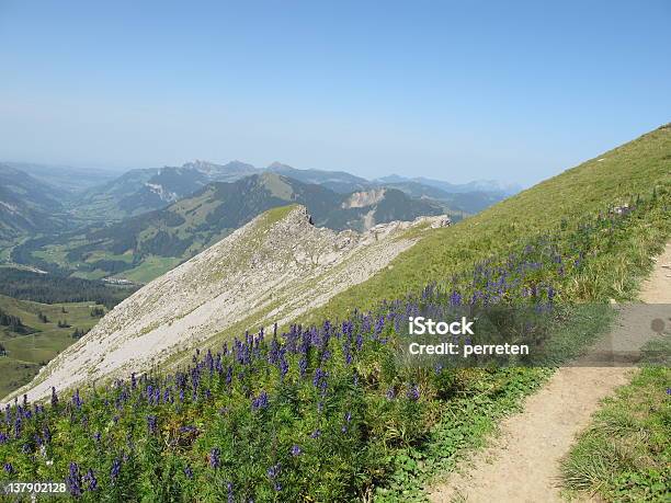 Nizza Summerday - Fotografie stock e altre immagini di Alpi - Alpi, Alpi Bernesi, Alpi svizzere