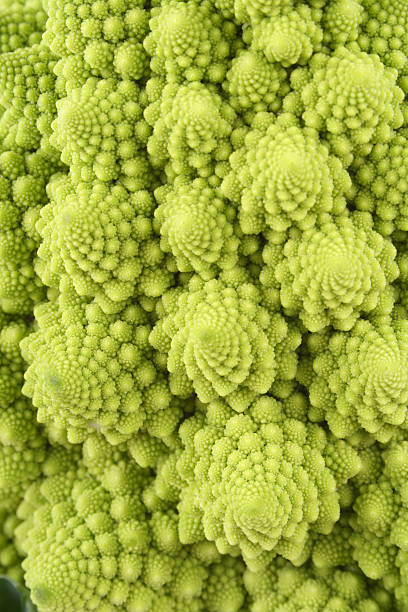 vert chou-fleur - romanesco broccoli vegetable green close up photos et images de collection
