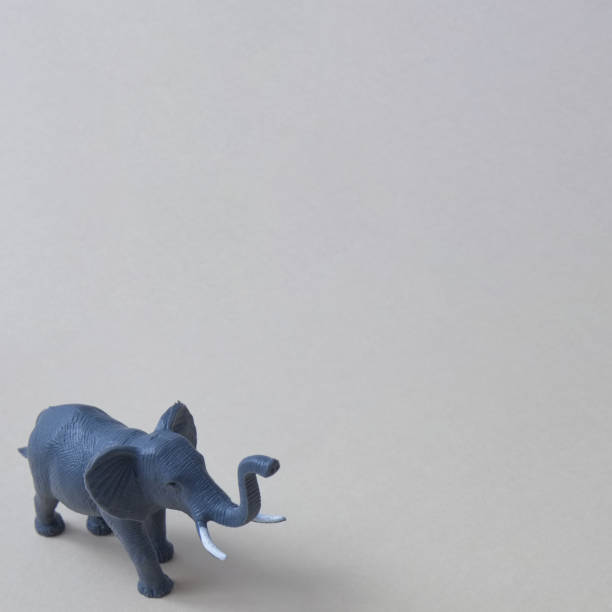istock An elephant with tusks in the lower left corner on a gray background with copy space. Minimal wild animal scene. 1379044260