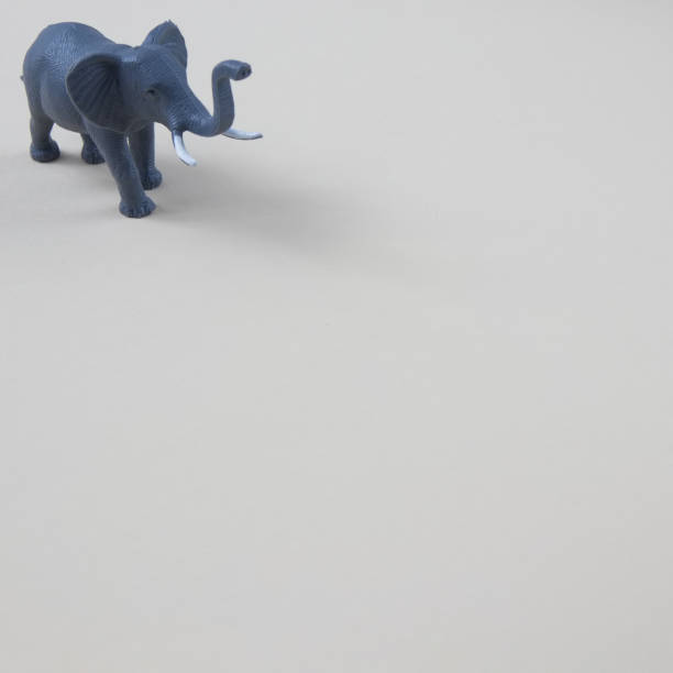 istock An elephant with tusks in the upper left corner on a gray background with copy space. Minimal wild animal scene. 1379044261