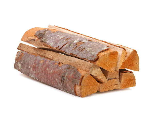 Pile of beech tree firewood isolated on white, lumber industry