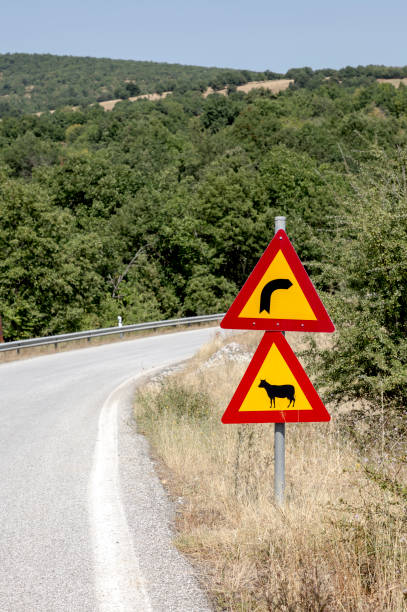 istock Road signs 