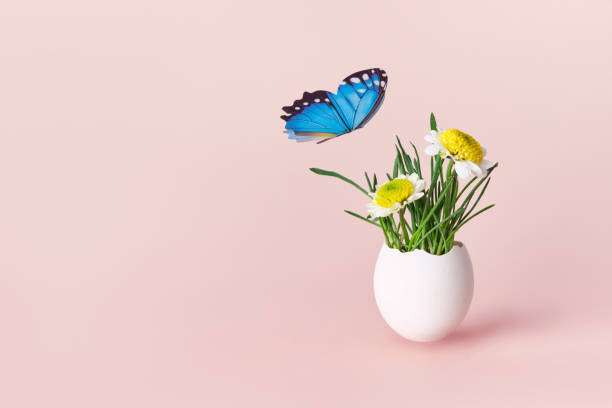 Life Easter concept. Green sprouts and spring flowers in white egg on pink background, copy space.