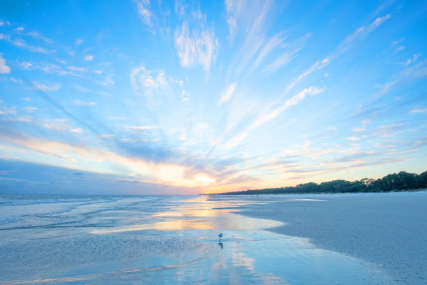 coucher de soleil sur la plage avec oiseau de rivage-hilton head, caroline du sud - beach beauty in nature water cloud photos et images de collection