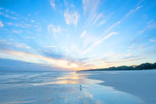 Photo of Beach Sunset with shore bird-Hilton Head, South Carolina