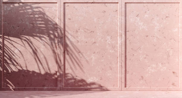 istock Premium abstract concrete texture background with palm leaves shadow on the wall 1379077087