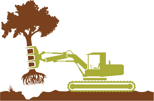 Excavator removes the tree