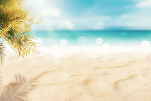 istock Blur beautiful nature green palm leaf on tropical beach with bokeh sun light wave abstract background. 1379101680