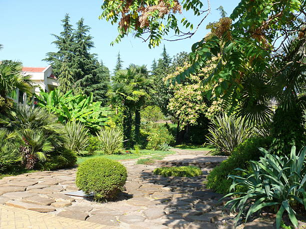 istock Park in the center of Sochi 137910948