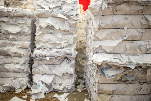 Cyclical Process: Collecting, Processing, and Reusing Materials for Sustainability