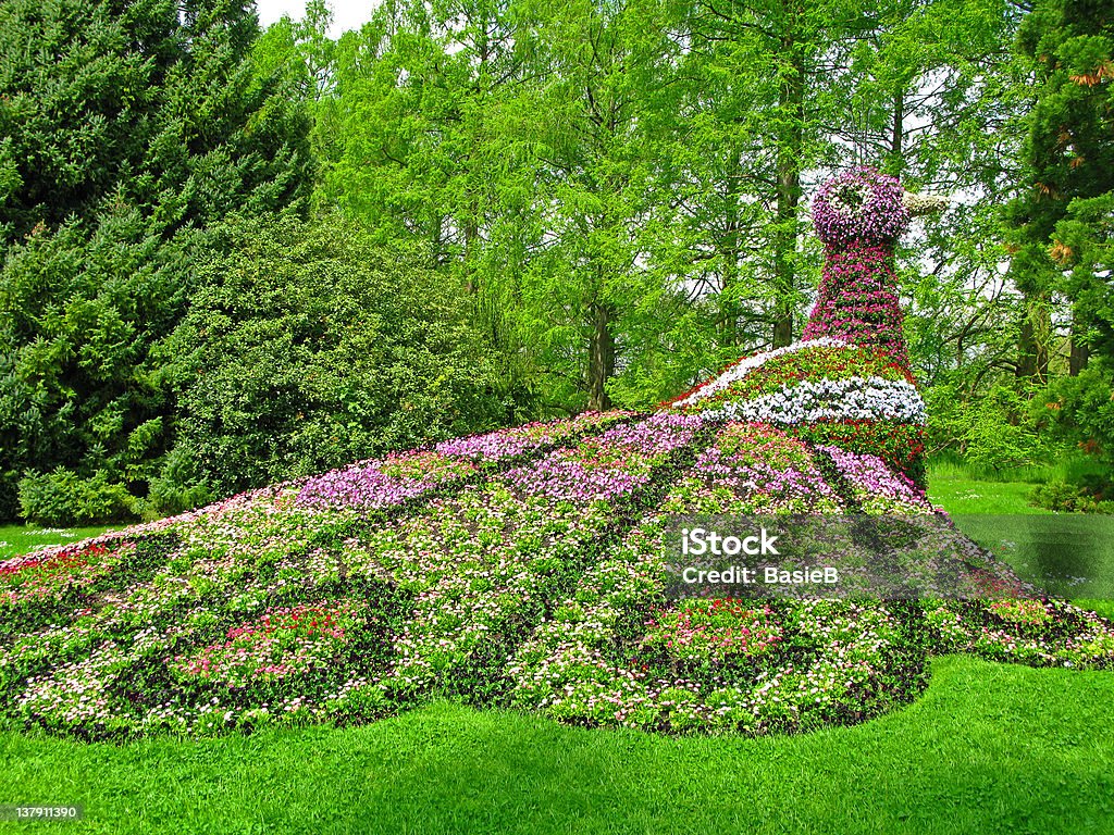 Hermosa flor peacock - Foto de stock de Accesorio de jardín libre de derechos