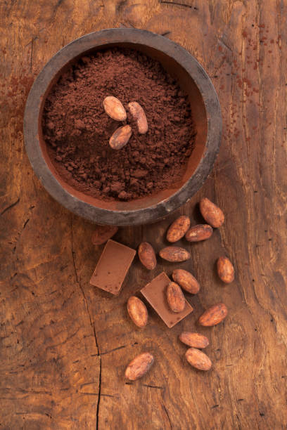 istock Cacao beans and cacao powder 1379116370