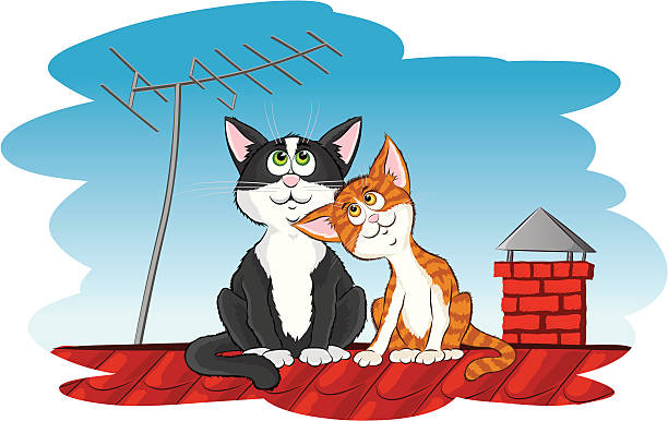 Cats on the roof Cartoon cats on the roof animal antenna stock illustrations
