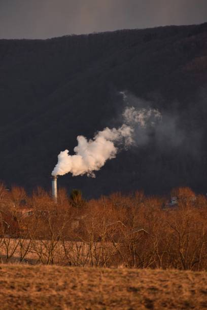 istock factory smoking chimney in nature 1379130051