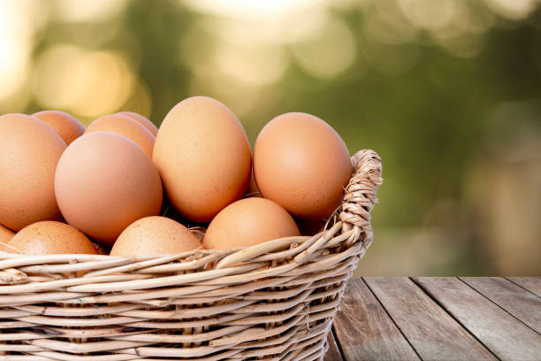 istock Fresh eggs collected inside wicker basket, suitable as a food ingredient. Fresh eggs from quality organic farms on wooden table and blurred green background. Healthy food concept 1379130180