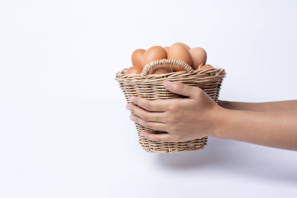 mujer a mano sosteniendo huevos frescos recogidos dentro de una cesta de mimbre, adecuados como ingrediente alimenticio o dando regalo. huevos frescos de granjas ecológicas de calidad aislados sobre fondo blanco. concepto de comida saludable - wicker basket store gift shop fotografías e imágenes de stock