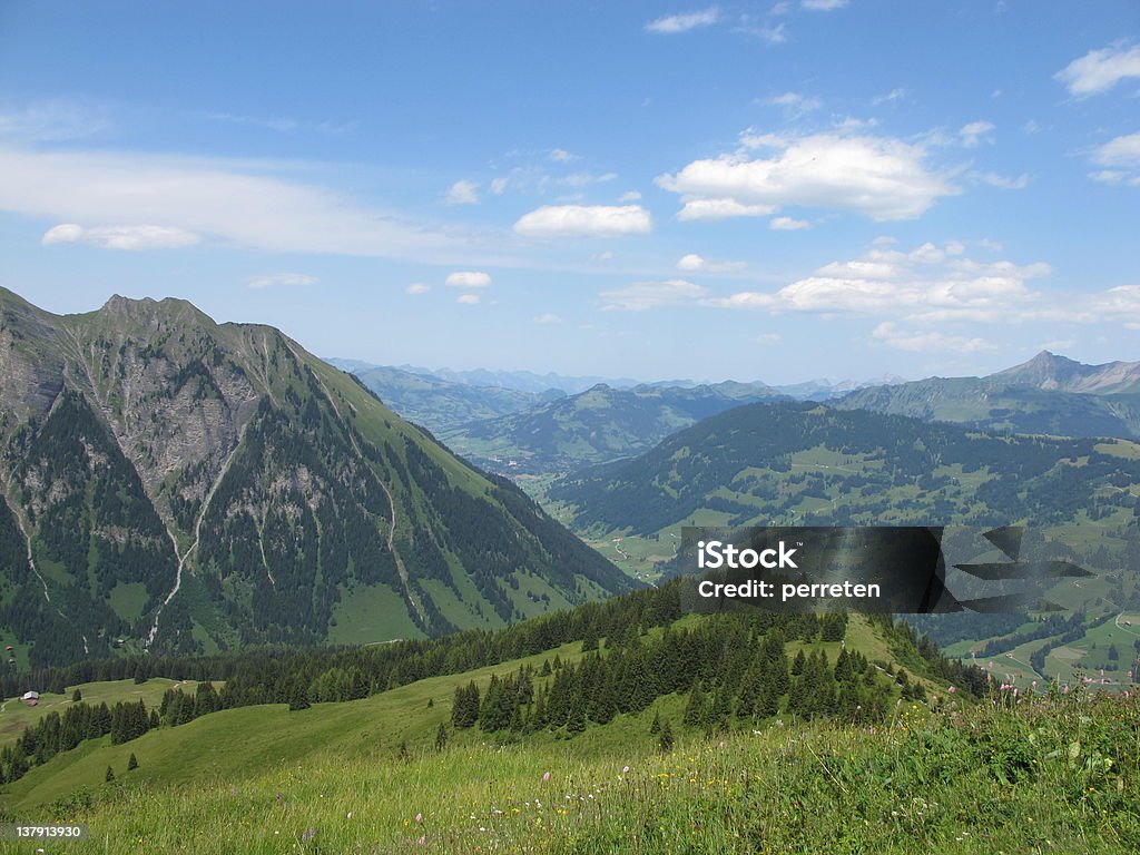 Gstaad - Lizenzfrei Agrarbetrieb Stock-Foto