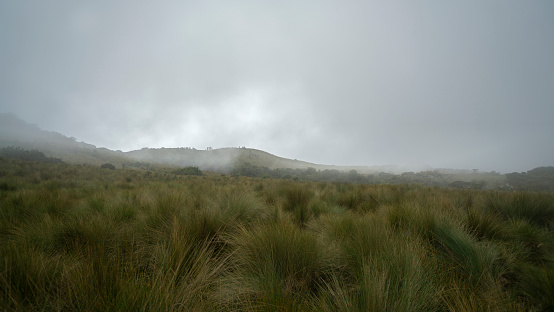 Andean paramo landscape without people on the slopes of the Pichincha volcano near the city of Quito on a very cloudy day