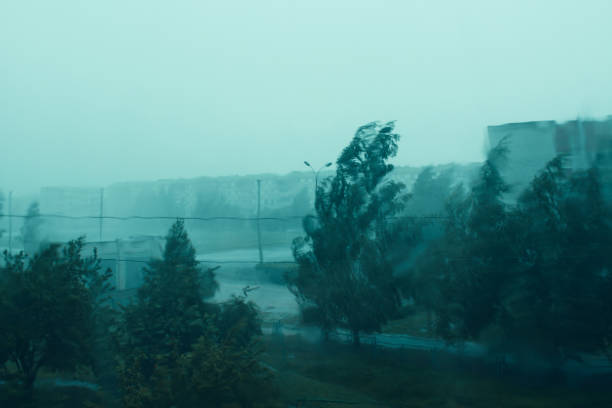 istock Rain drops on the window glass. View from the window. Blurred background. Background. Texture. 1379160653