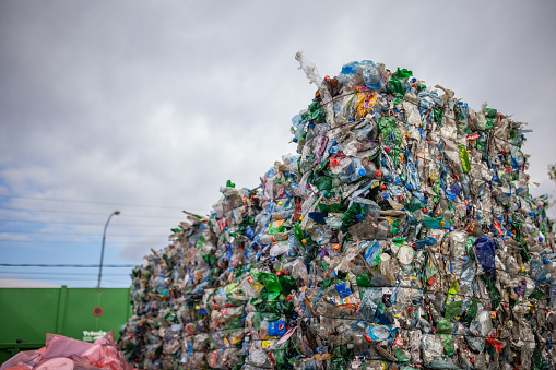 At the recycling center, plastic bottles are collected and packed for recycling