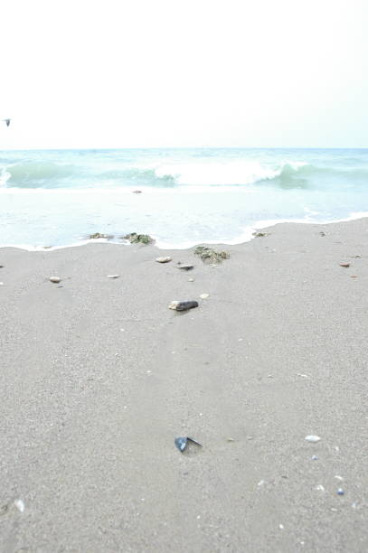 istock Beach at the Sea with Seagull 1379163530