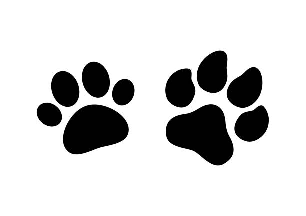 istock Cat and dog animal paw print icon set vector isolated on a white background 1379165473