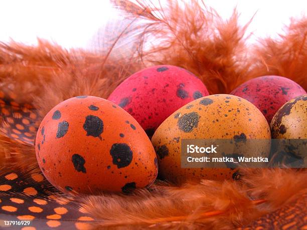 Bunte Quail Eggs Stockfoto und mehr Bilder von Bunt - Farbton - Bunt - Farbton, Cholesterin, Dekorieren