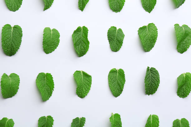 istock Fresh mint leaves on white background, flat lay 1379181014