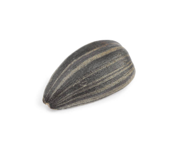 istock Raw organic sunflower seed isolated on white 1379181028