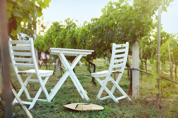 istock White table and chairs in vineyard with ripe grapes 1379191531