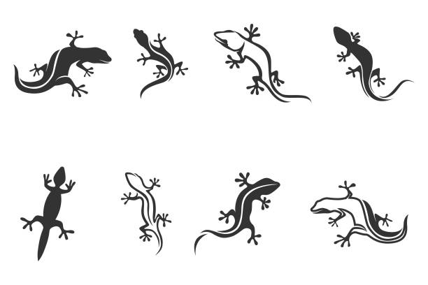 illustrazioni stock, clip art, cartoni animati e icone di tendenza di logo e simbolo lucertola - lizard
