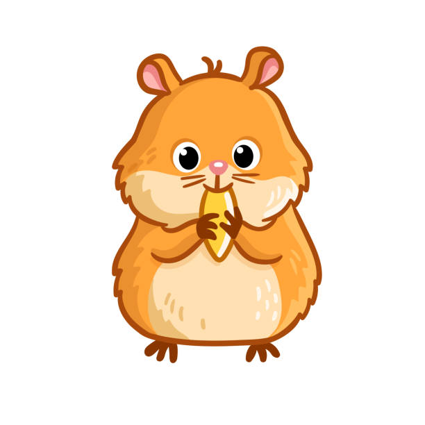 Le joli hamster jaune se tient debout et mâche une noix sur fond blanc. - Illustration vectorielle