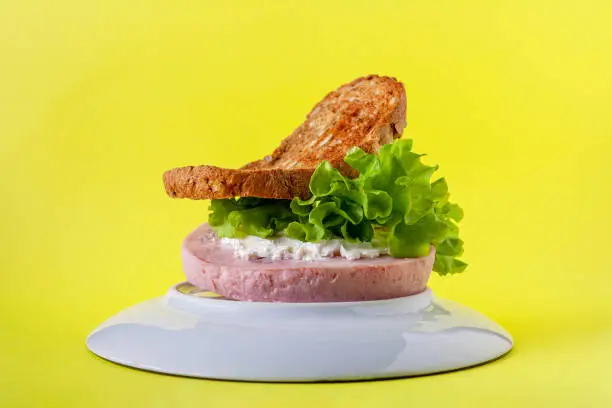 illogical sandwich of ham, cheese, lettuce, bread on an overturned plate