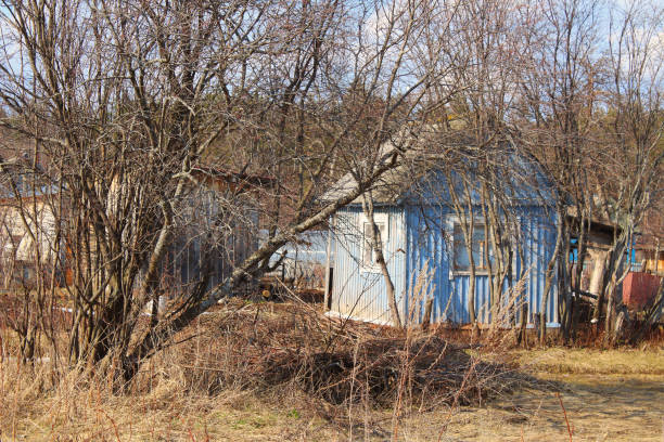 заброшенный садовый участок. фон. ландшафт. - shed cottage hut barn стоковые фото и изображения