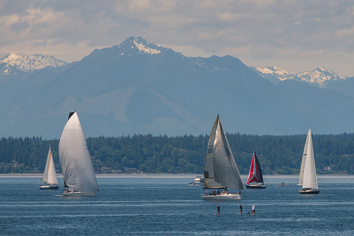 Seattle, USA - Jun 24, 2021: Sailboats and Paddle-boarders on Elliott bay late in the day.