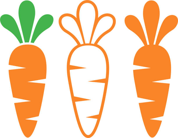 Three Carrots Vector on Transparent Background Simple, colorful carrot vectors carrot stock illustrations