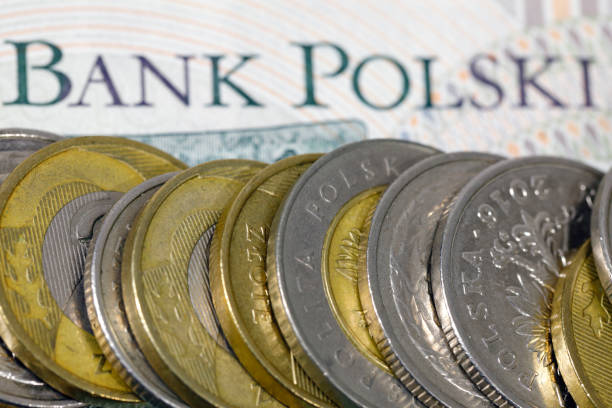 istock PLN coins next to each other on the banknotes 1379236686