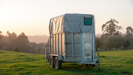 Animal transport cart trailer in a green field