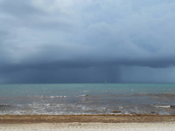 istock Storm in the horizon 1379264511