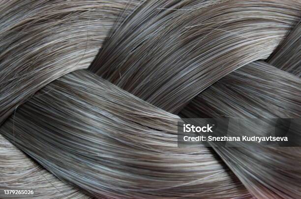 Texture Closeup Of Braided Hair Gray Color Background Stock Photo - Download Image Now
