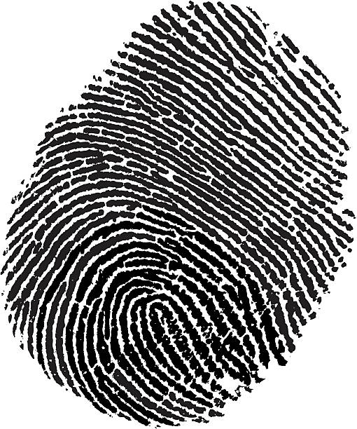 A black fingerprint on a white background vector art illustration