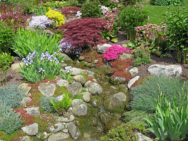 belo jardim - rock garden imagens e fotografias de stock