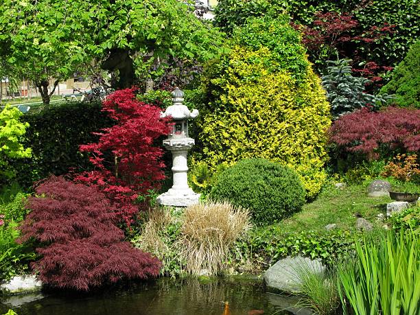 istock Beautiful Japanese garden 137928672