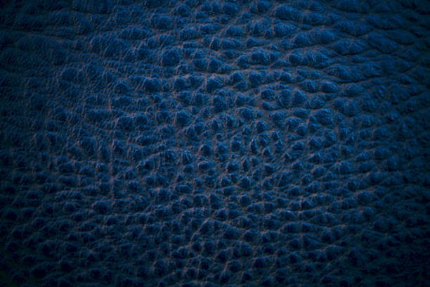 istock Old dark blue imitation leather. Close-up. Selective focus. Background. Texture. 1379293831