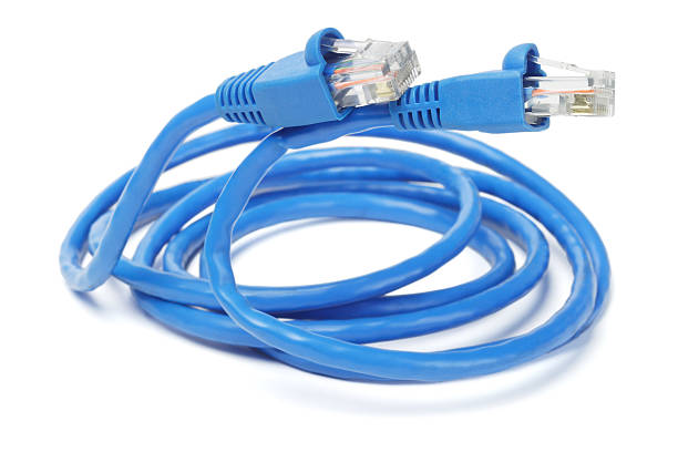 istock Close Up of Network Cable and Plugs 137930515
